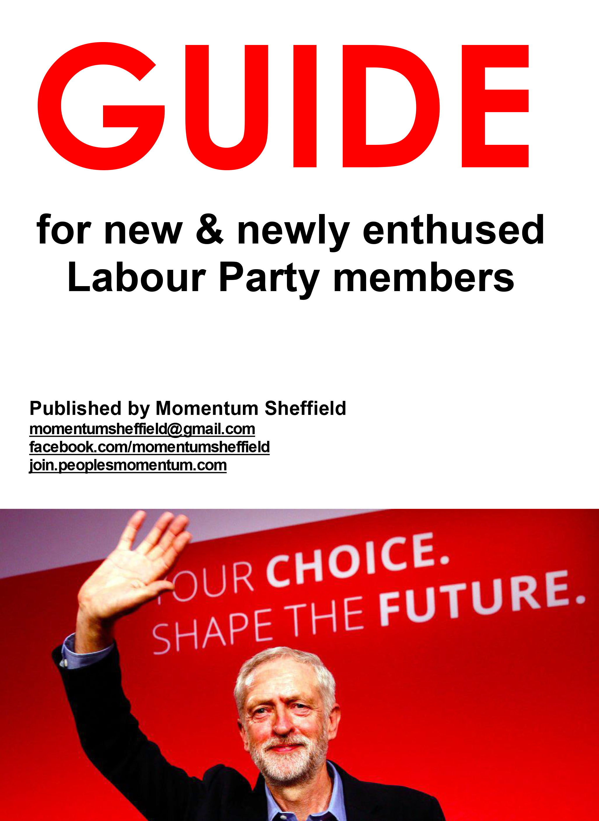 337725670-Momentum-Sheffield-Guide-for-New-Labour-Members.pdf